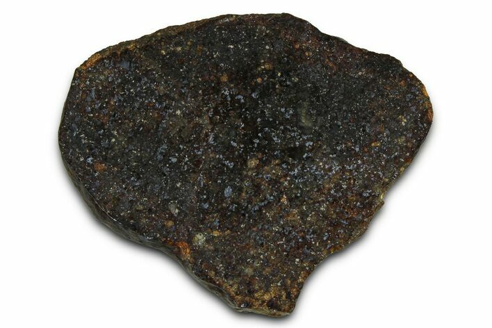 Chondrite Meteorite Section ( g) - NWA #378822
